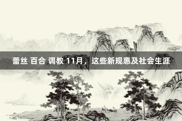 蕾丝 百合 调教 11月，这些新规惠及社会生涯